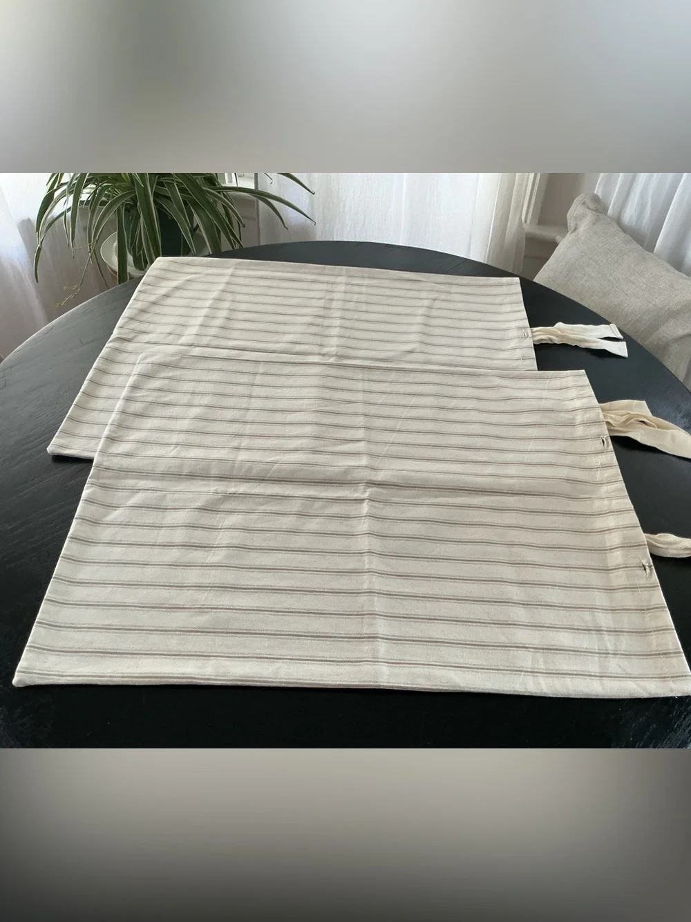 NWOT Pair of Ticking BALLARD SHAMS